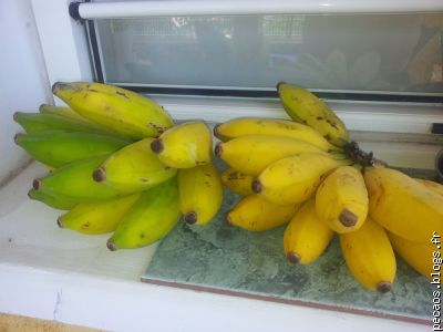 Bananes de chez YO